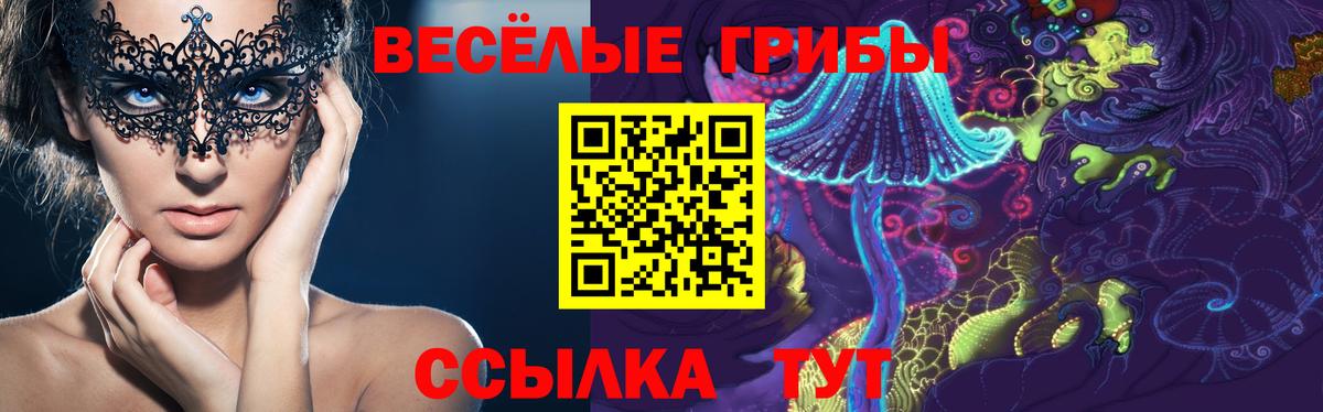 Галлюциногенные грибы GOLDEN TEACHER  Вход с VPN  Галлюциногенные грибы Magic Shrooms  Кинель 